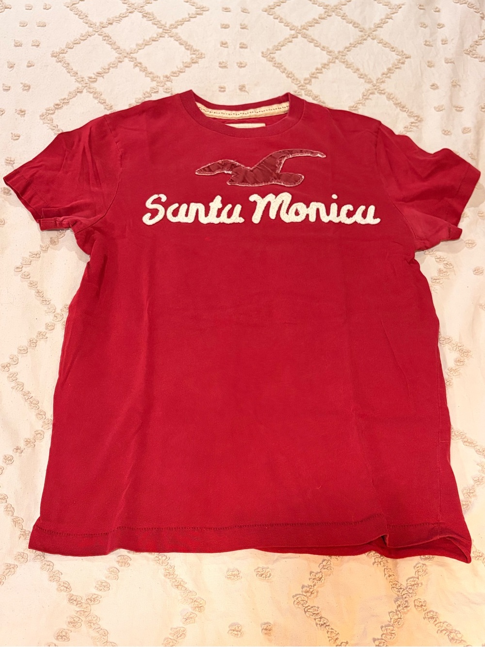 Hollister Co. T-Shirt